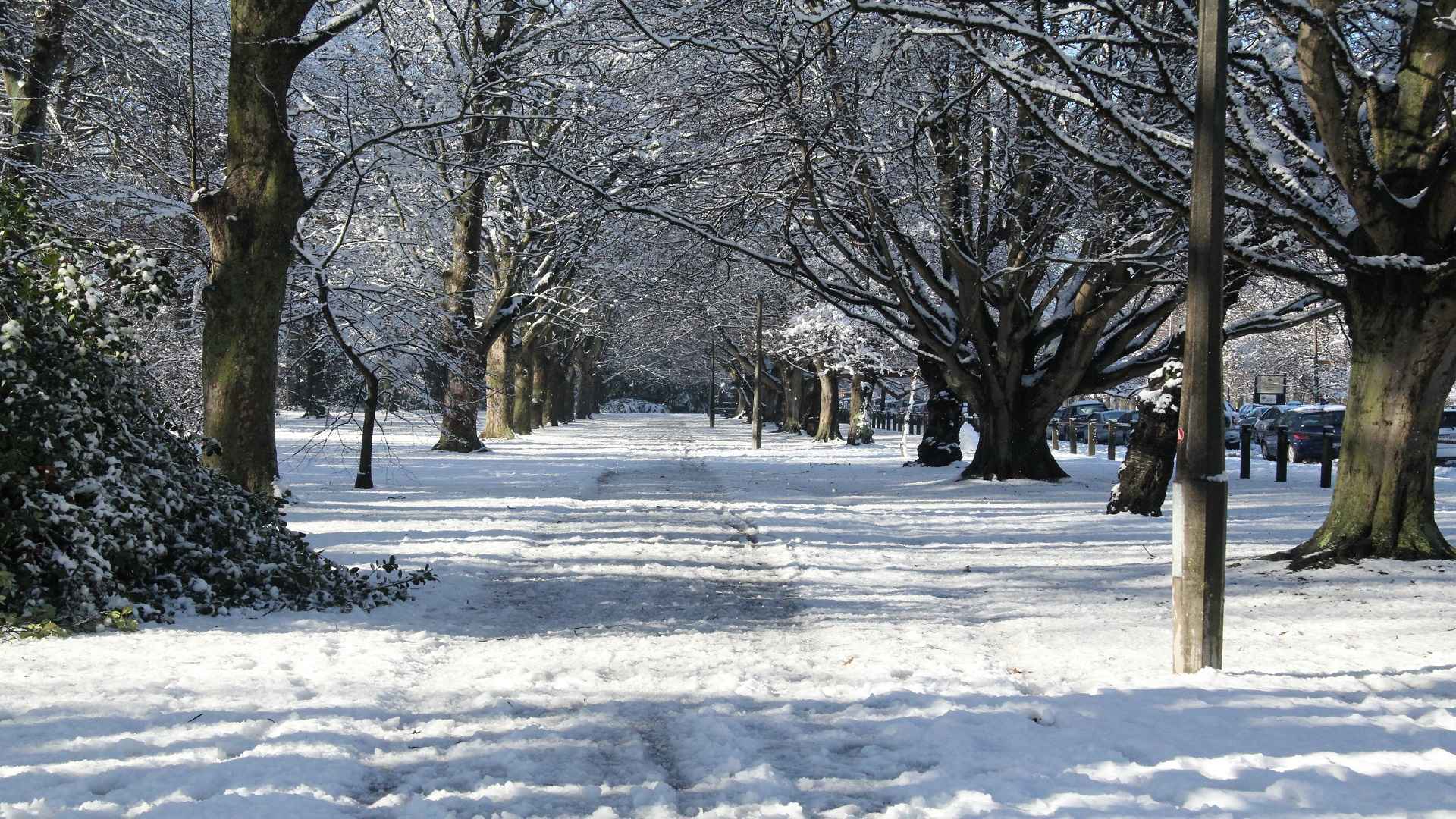 Christchurch: Hagley Park snow